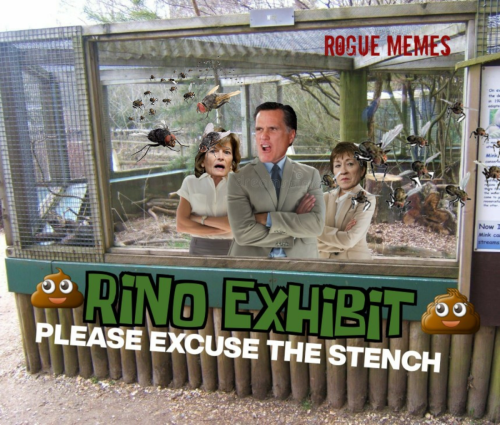 M Rino