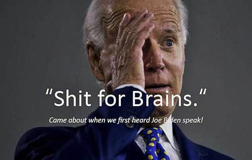shit for brains