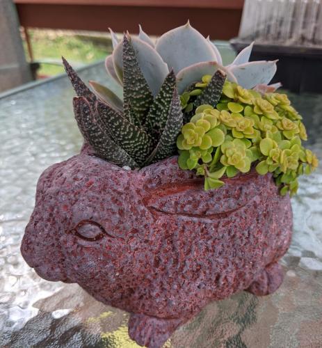 PXL_20220416_192826324