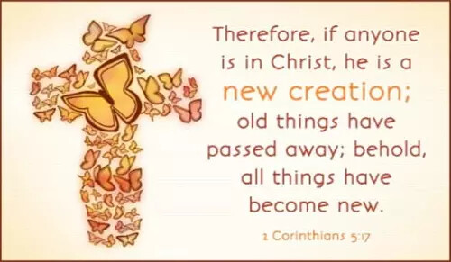 15184-new-creation-800x400