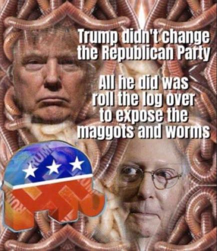 TRUMP DIDN'T CHANGE THE REP PARTY