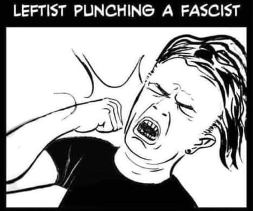 lefty-punchs-fascist