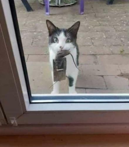 Screenshot_20220410-225026_Google