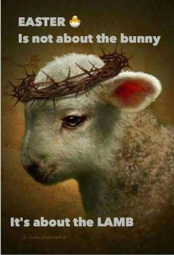 FB_IMG_1616207811996