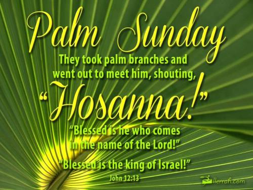 Palm-Sunday-They-Took-Palm-Branches-And-Went-Out-To-Meet-Him-Shouting-Hosanna