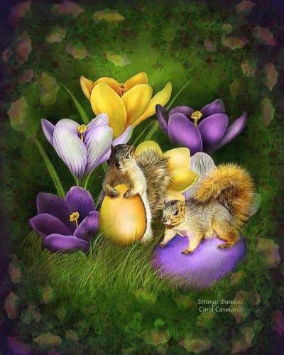 FB_IMG_1616207546304