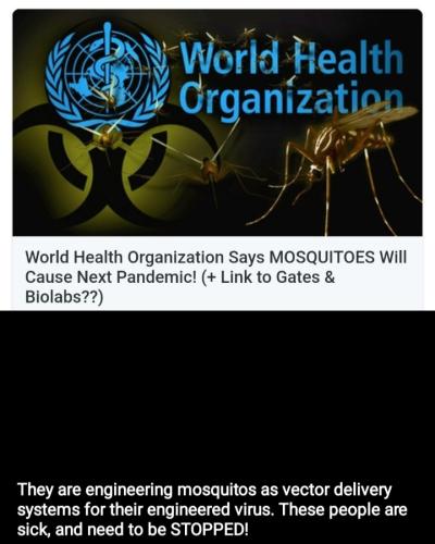 Screenshot_20220408-172743_Telegram