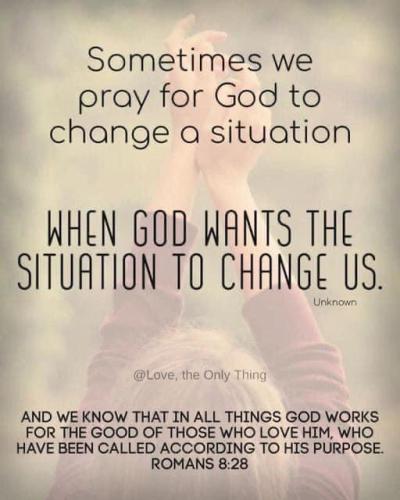 e32bee99-25d6-4bdd-8759-9c2b9ccc9b53