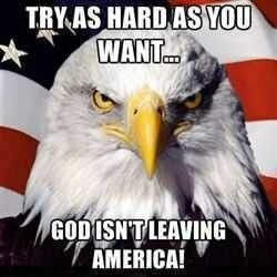 Image-294