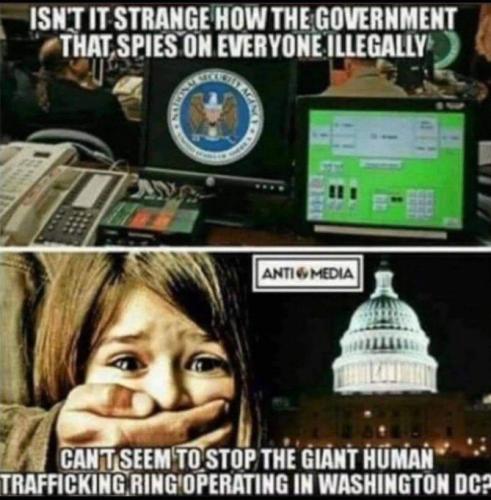 human trafficking ring
