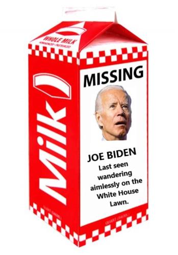 BIDEN ON MILK CARTON