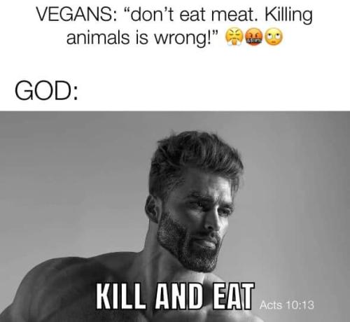 FB_IMG_1650638212084