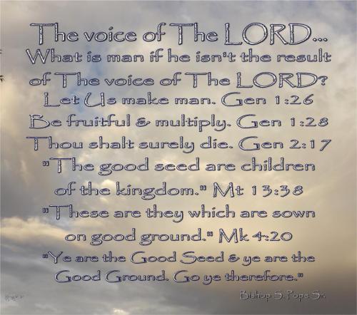 Good Seed, Good Ground