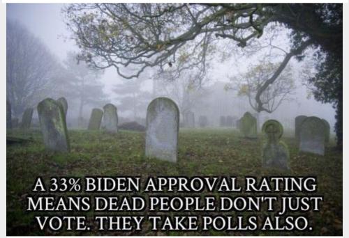 Dead & polls