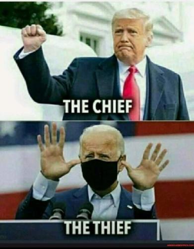 The thief