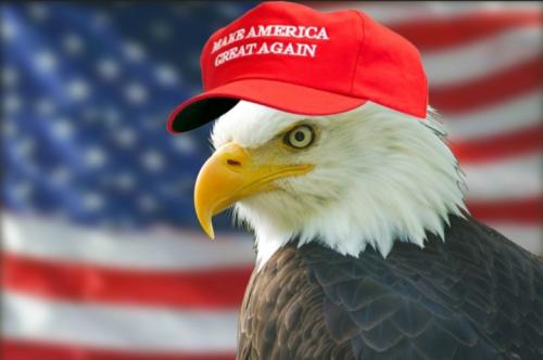 790da74809820b16be923ba49c4ea932_1024