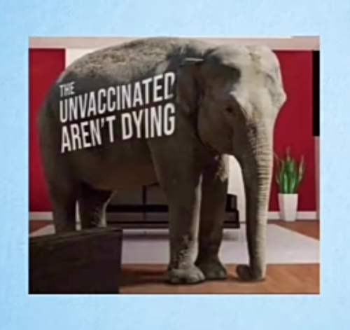 Screenshot_20220413-021334~2