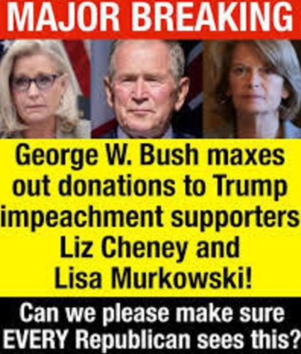 BUSH TRAITOR MAX DONATIONS