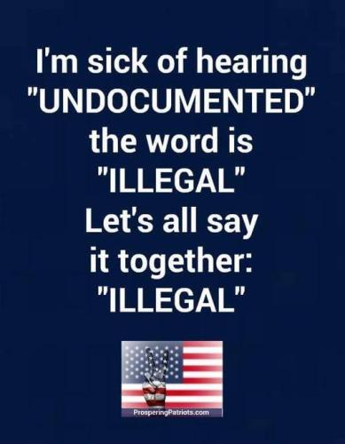 Illegal Aliens