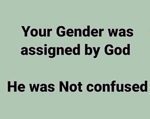 474711db-4e94-421d-a639-8aff75a38d4f