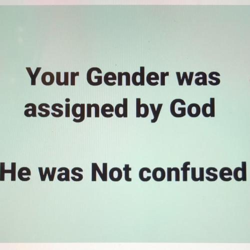 701D9B04-F4E7-4D0E-B4F6-E1C3CAD71FB0