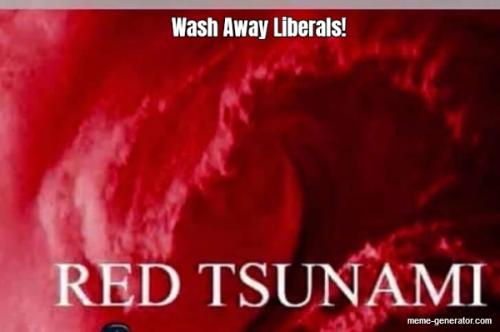 wash-away-liberals-268866-1