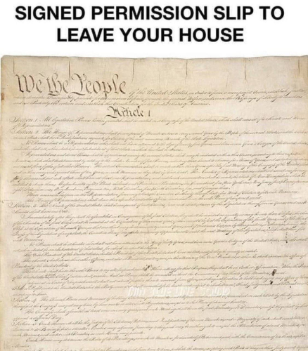 constitution