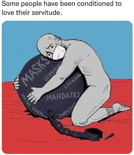 img - 2022-04-24T103154.885