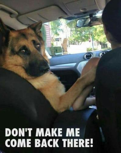 A5E7D160-5193-489E-8E07-03BF1956A8DD