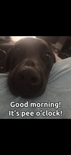 9B24F35F-F9E1-4ECB-A968-3F06907E8A43