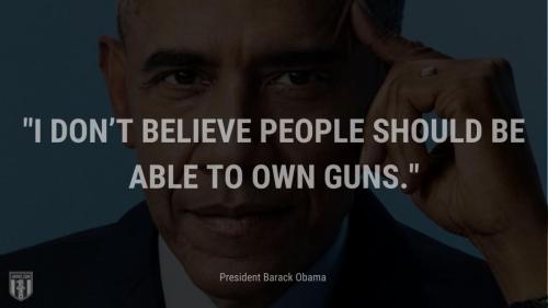 gun-grabbers-quotes-7