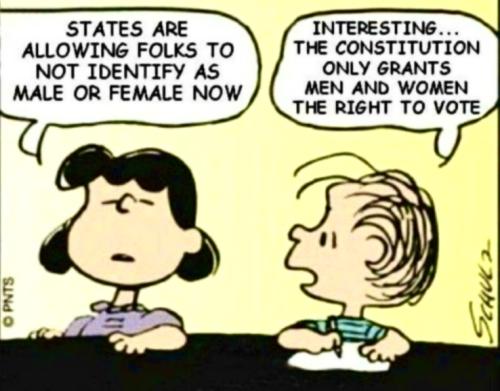 F8FFEBED-C8DE-4C86-8D1D-7F7A333D2F5C