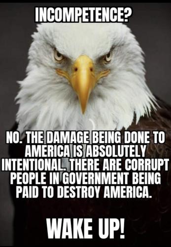 60A70AE0-17D3-4296-854C-E74C54E3D483