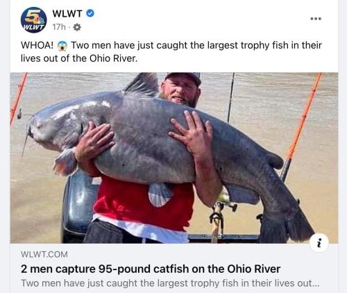 IMG_20220402_054809_834