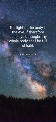 90D00A2B-9DA2-4CFC-8919-0EAE4DDDEF95