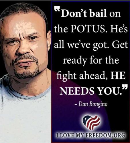 danbongino