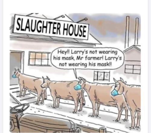 FD3ADA12-EC5F-4F70-A993-0589A3AF191F