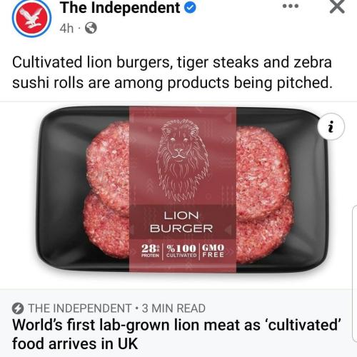 photo_2022-04-04_10-49-11