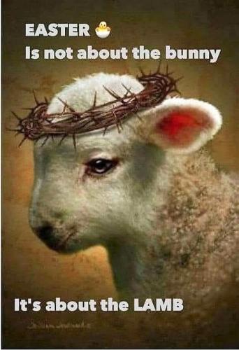 78ba1692-bcfb-4a2a-a906-a2732e1de815