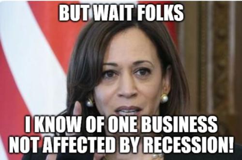 bidenhohobuisneswcap