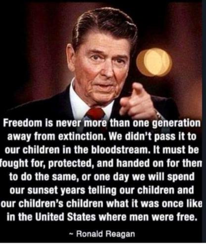 FreedomNeverMoreThanOneGenerationFromExtinction