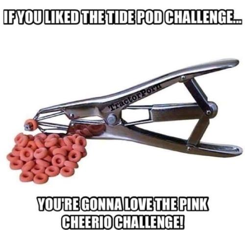 277565208_490370475887657_8036167263607839882_n