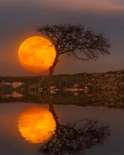 FB_IMG_1619955492435