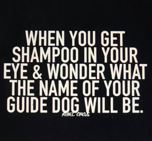 76B95650-FC6A-4674-A298-5F85D0C1D2D8