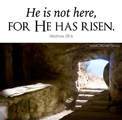 5BAAA844-FBA4-49C1-9682-04D246DCDF7C