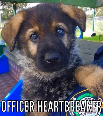 6ADD4420-9148-47F2-8874-3B8B3607F97C