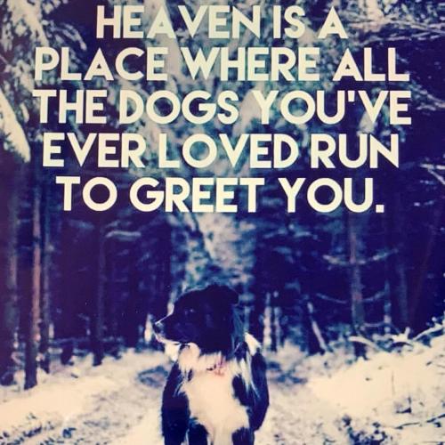 DBA9F967-AF02-46E8-9C53-99D37D5EC253