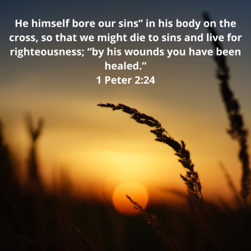 24179B0AAC2BC05C4B5AF178CB3B3EA6.he-himself-bore-our-sins-in-his-body-on-the-cross-so-that-we-might-die-to-sins-and-live-for-righteousness-by-his-wounds-you-have-been-healed.-1-peter-224