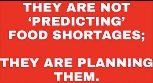 3D2E55A4-347E-4D5F-9D95-4B755A236525