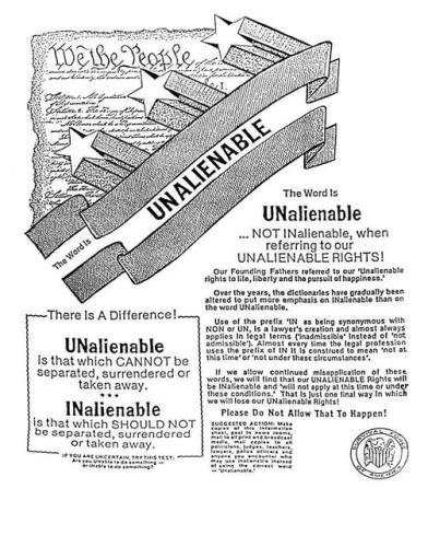 135017827_226563932258836_6236459712902083244_n